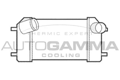Интеркулер AUTOGAMMA 104486