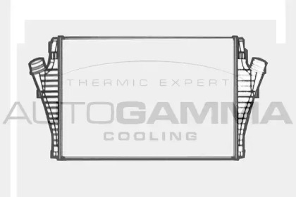 Теплообменник AUTOGAMMA 104493