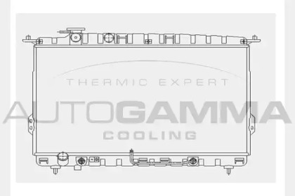 Теплообменник AUTOGAMMA 104518