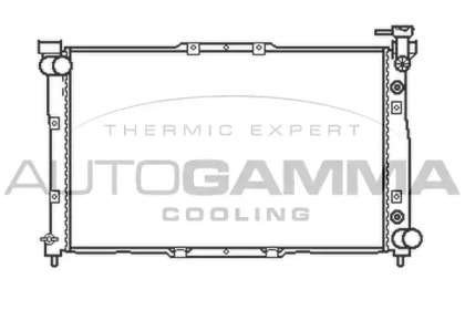 Теплообменник AUTOGAMMA 104523