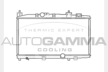 Теплообменник AUTOGAMMA 104566