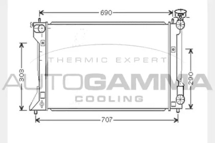 Теплообменник AUTOGAMMA 104569