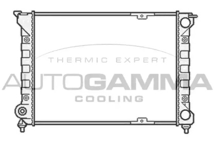 Теплообменник AUTOGAMMA 104575