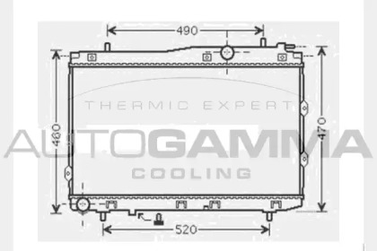 Теплообменник AUTOGAMMA 104594