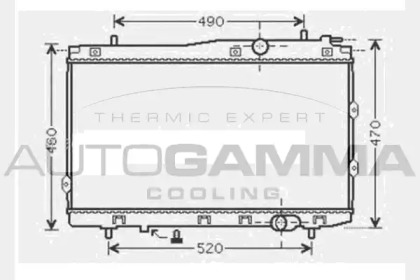 Теплообменник AUTOGAMMA 104595