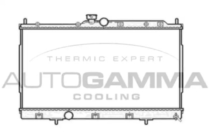 Теплообменник AUTOGAMMA 104605