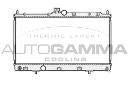 Теплообменник AUTOGAMMA 104607