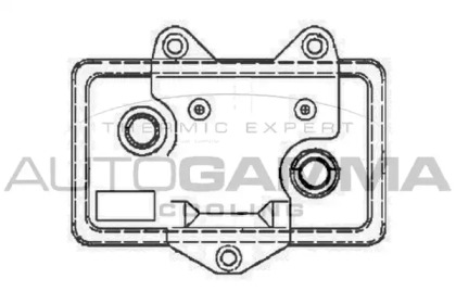 Теплообменник AUTOGAMMA 104631