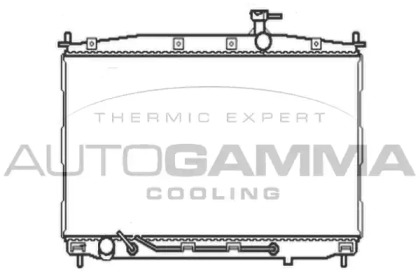 Теплообменник AUTOGAMMA 104644