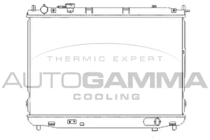 Теплообменник AUTOGAMMA 104652