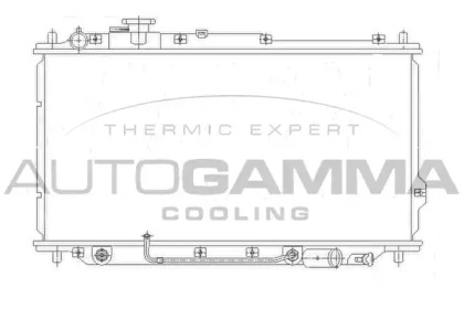 Теплообменник AUTOGAMMA 104653