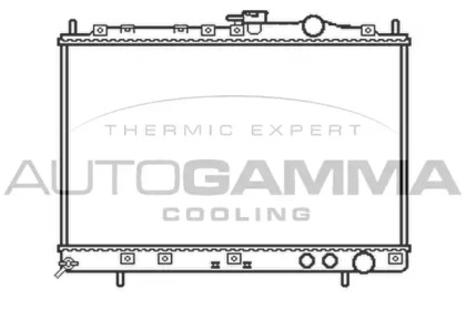 Теплообменник AUTOGAMMA 104655