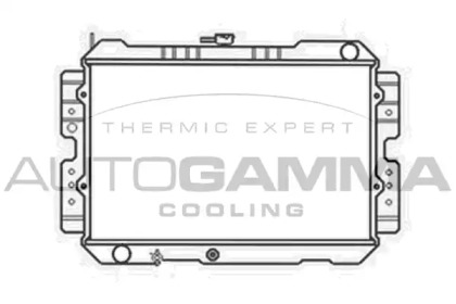 Теплообменник AUTOGAMMA 104681