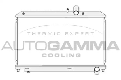 Теплообменник AUTOGAMMA 104682
