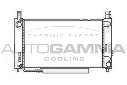 Теплообменник AUTOGAMMA 104685