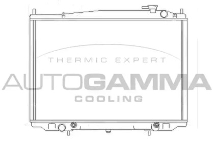 Теплообменник AUTOGAMMA 104692