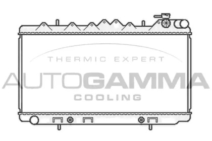 Теплообменник AUTOGAMMA 104693