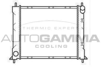 Теплообменник AUTOGAMMA 104701