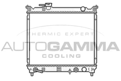 Теплообменник AUTOGAMMA 104712