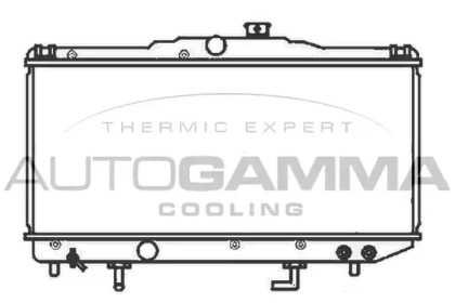 Теплообменник AUTOGAMMA 104719