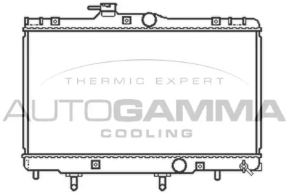 Теплообменник AUTOGAMMA 104722
