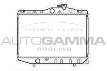 Теплообменник AUTOGAMMA 104746