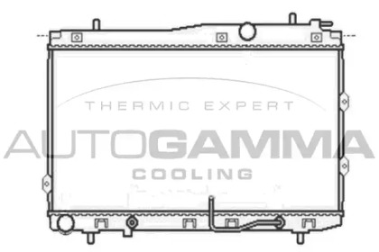 Теплообменник AUTOGAMMA 104768