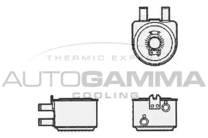 Теплообменник AUTOGAMMA 104785