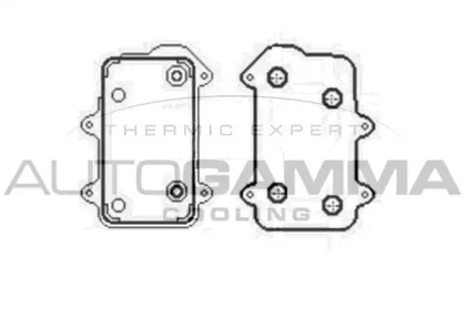 Теплообменник AUTOGAMMA 104793