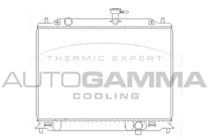 Теплообменник AUTOGAMMA 104829