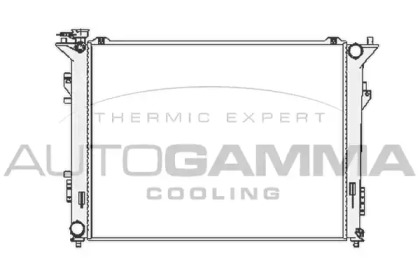 Теплообменник AUTOGAMMA 104833