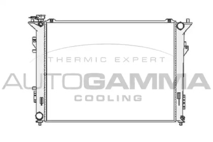 Теплообменник AUTOGAMMA 104834