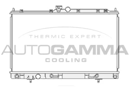 Теплообменник AUTOGAMMA 104854