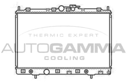 Теплообменник AUTOGAMMA 104855