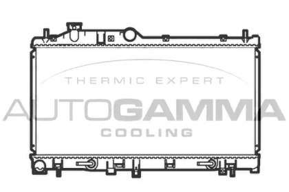 Теплообменник AUTOGAMMA 104867