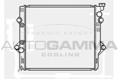 Теплообменник AUTOGAMMA 104868