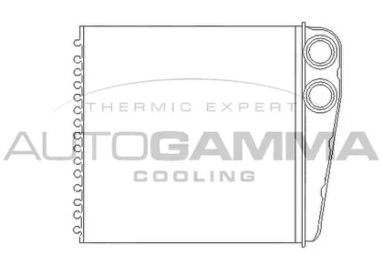 Теплообменник AUTOGAMMA 104886