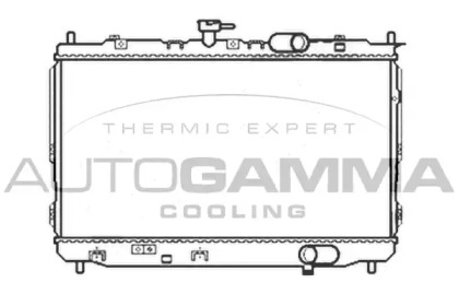 Теплообменник AUTOGAMMA 104926