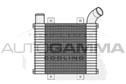 Теплообменник AUTOGAMMA 104939