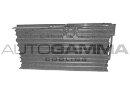 Конденсатор AUTOGAMMA 105006