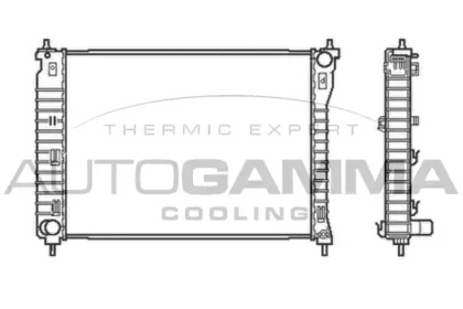 Теплообменник AUTOGAMMA 105043