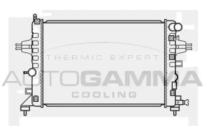 Теплообменник AUTOGAMMA 105054