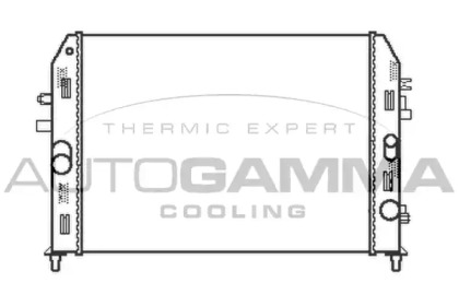 Теплообменник AUTOGAMMA 105167