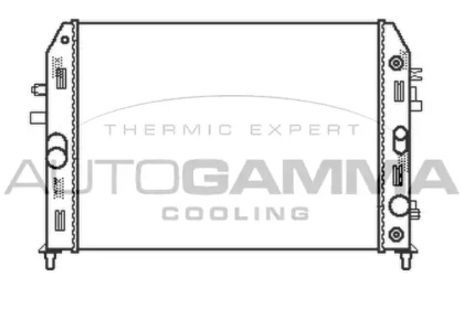 Теплообменник AUTOGAMMA 105168