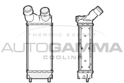 Теплообменник AUTOGAMMA 105189