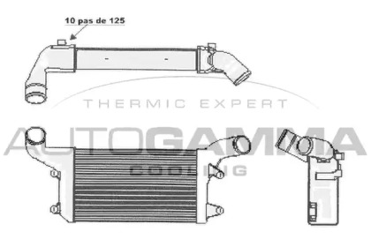 Теплообменник AUTOGAMMA 105299