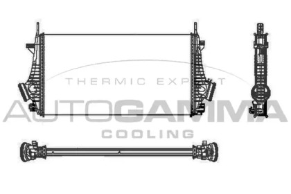 Теплообменник AUTOGAMMA 105338