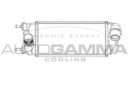 Теплообменник AUTOGAMMA 105374