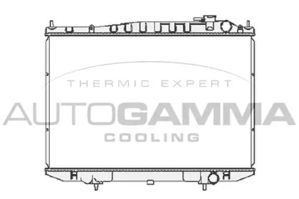 Теплообменник AUTOGAMMA 105387