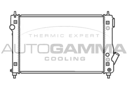 Теплообменник AUTOGAMMA 105410